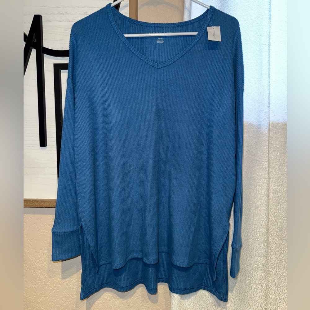 American Eagle Outfitters Blue long sleeve shirt